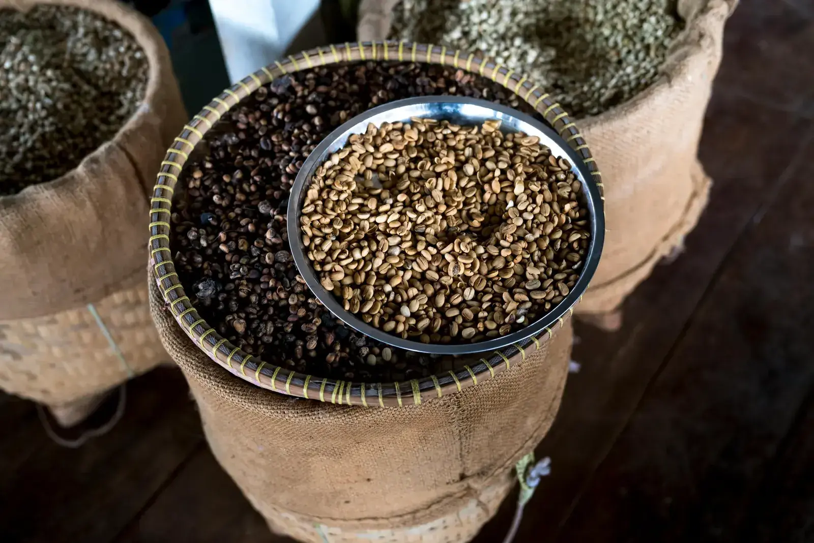 Early Batch wholesale coffee bags